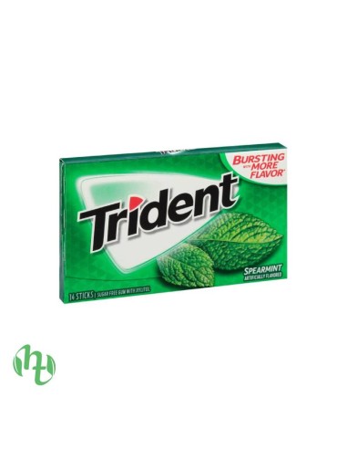 CHICLES TRIDENT 60 MINUTES PEPPERMINT 10UDS 22GRS