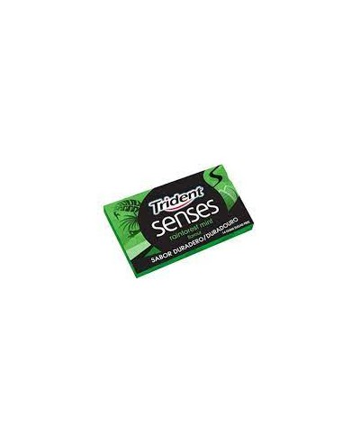 CHICLES TRIDENT 60 MINUTES SPEARMINT 10UDS 22GRS